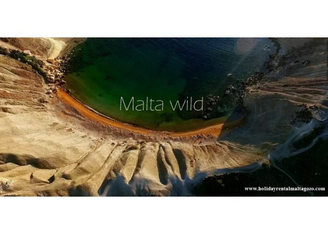Videos And Links about Malta and Gozo malta, Holiday Rentals Malta & Gozo malta